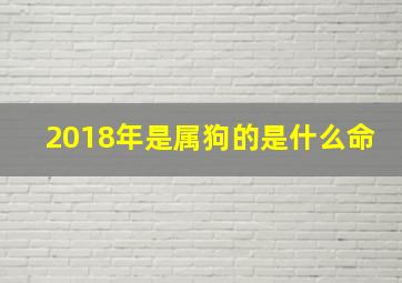 2018年是属狗的是什么命