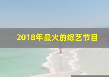 2018年最火的综艺节目