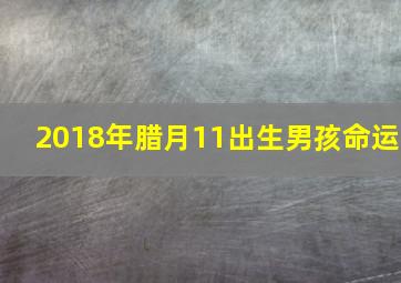 2018年腊月11出生男孩命运