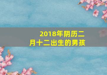 2018年阴历二月十二出生的男孩