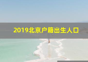 2019北京户籍出生人口