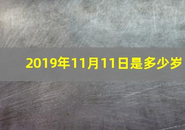 2019年11月11日是多少岁