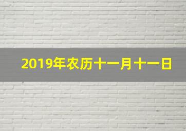 2019年农历十一月十一日