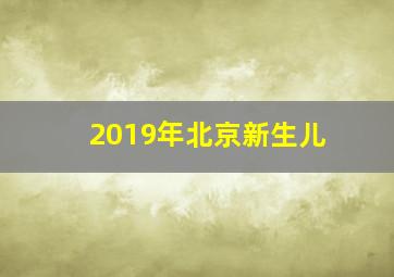 2019年北京新生儿