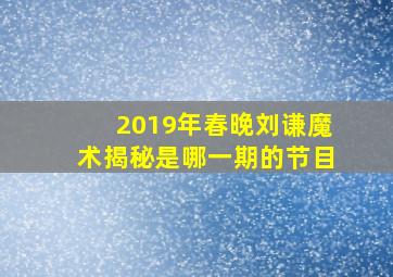 2019年春晚刘谦魔术揭秘是哪一期的节目