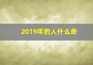 2019年的人什么命