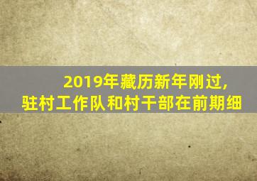 2019年藏历新年刚过,驻村工作队和村干部在前期细