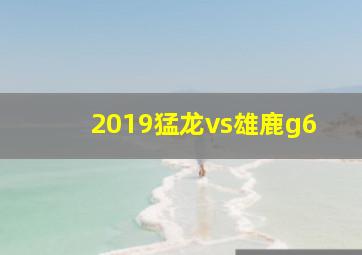 2019猛龙vs雄鹿g6