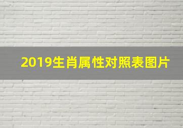 2019生肖属性对照表图片