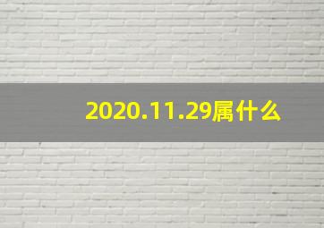 2020.11.29属什么