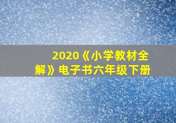 2020《小学教材全解》电子书六年级下册