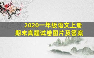 2020一年级语文上册期末真题试卷图片及答案