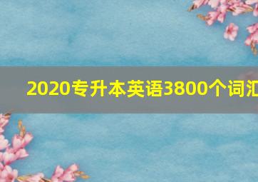 2020专升本英语3800个词汇