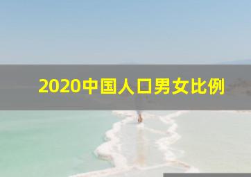 2020中国人口男女比例