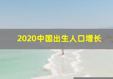 2020中国出生人口增长