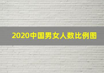 2020中国男女人数比例图