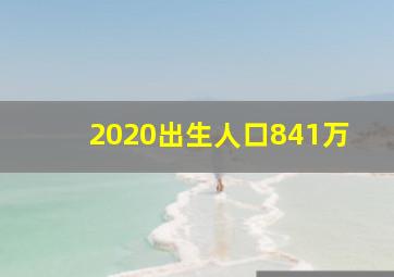 2020出生人口841万