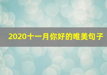 2020十一月你好的唯美句子