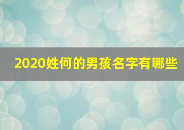 2020姓何的男孩名字有哪些