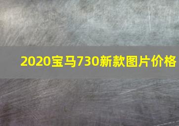 2020宝马730新款图片价格