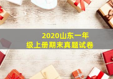 2020山东一年级上册期末真题试卷