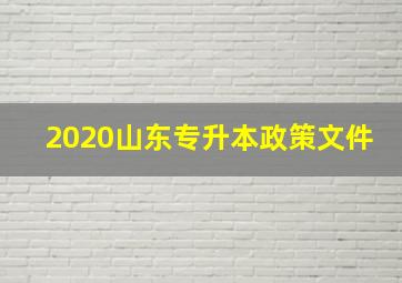 2020山东专升本政策文件