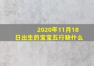 2020年11月18日出生的宝宝五行缺什么