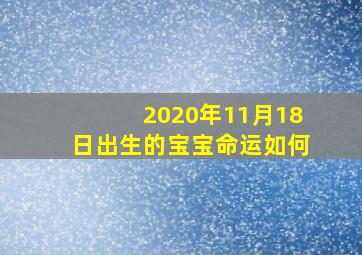 2020年11月18日出生的宝宝命运如何