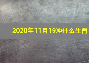 2020年11月19冲什么生肖