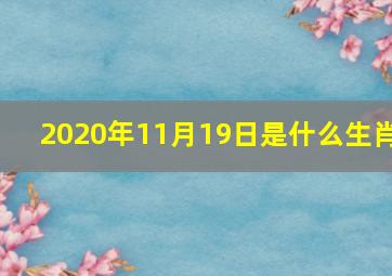 2020年11月19日是什么生肖