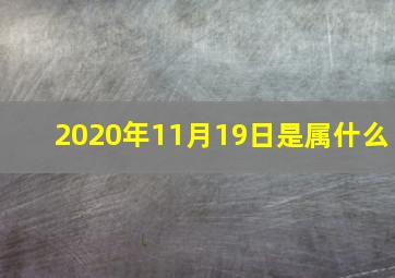 2020年11月19日是属什么