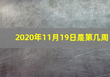 2020年11月19日是第几周