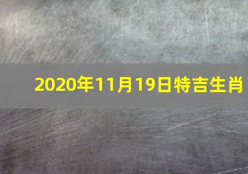 2020年11月19日特吉生肖