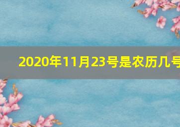 2020年11月23号是农历几号