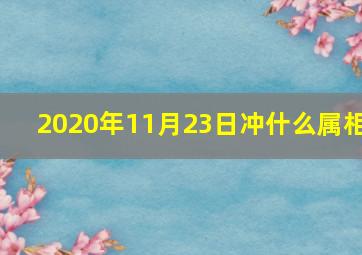 2020年11月23日冲什么属相