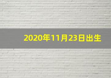 2020年11月23日出生