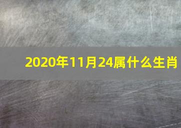 2020年11月24属什么生肖