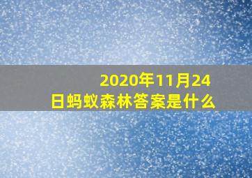 2020年11月24日蚂蚁森林答案是什么