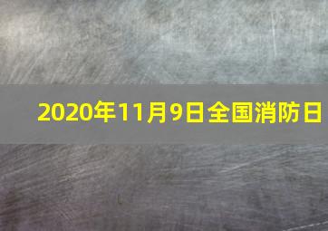 2020年11月9日全国消防日