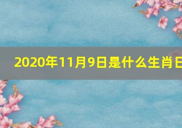 2020年11月9日是什么生肖日