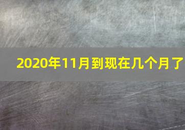 2020年11月到现在几个月了