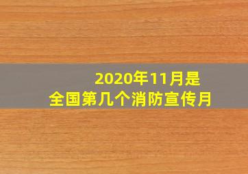 2020年11月是全国第几个消防宣传月