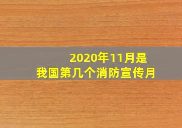 2020年11月是我国第几个消防宣传月