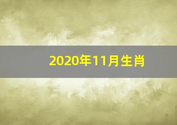 2020年11月生肖