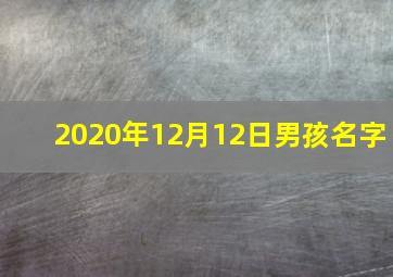 2020年12月12日男孩名字