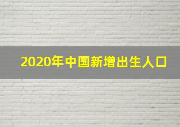 2020年中国新增出生人口