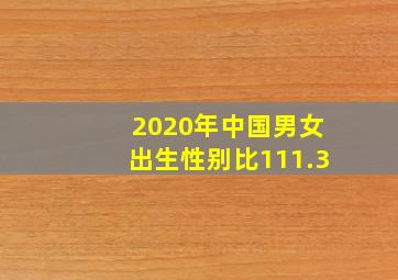 2020年中国男女出生性别比111.3