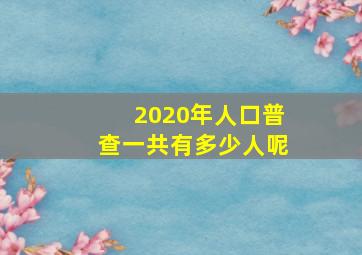 2020年人口普查一共有多少人呢