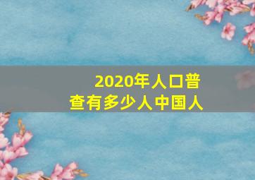 2020年人口普查有多少人中国人