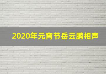 2020年元宵节岳云鹏相声